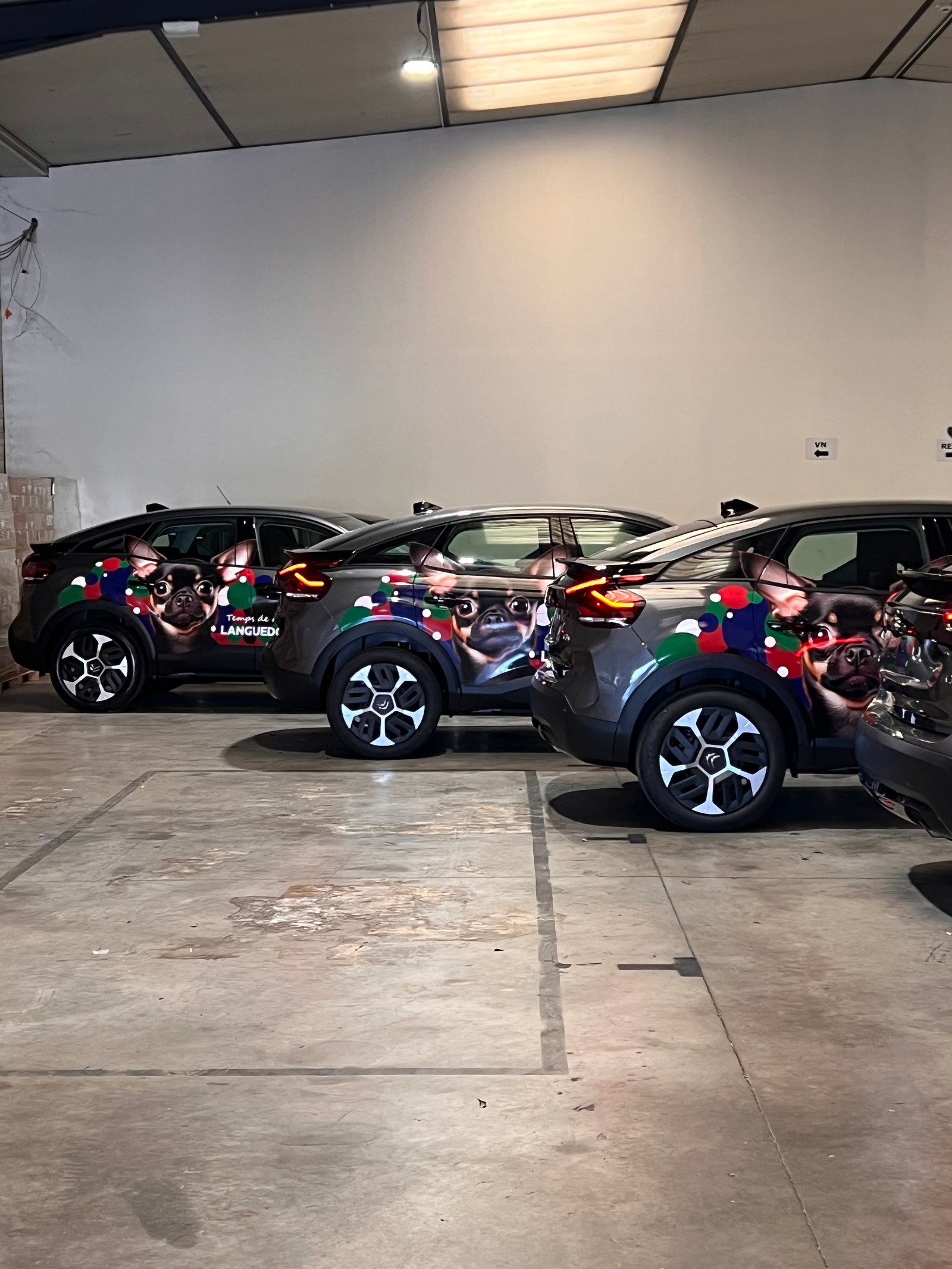 Flotte Citroën habillée graphisme chien Languedoc